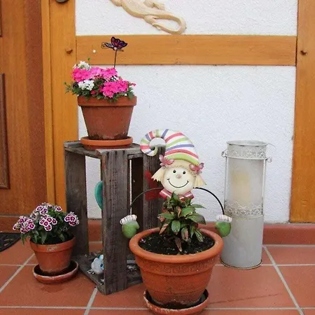 Winkelchen Comfortable Cochem